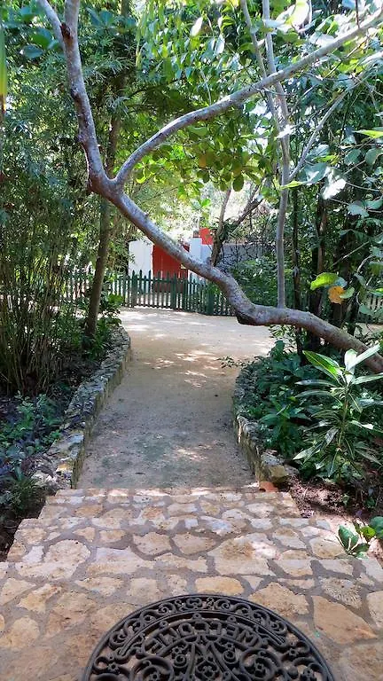 Tingalaya'S Retreat Hotel Negril Guest house