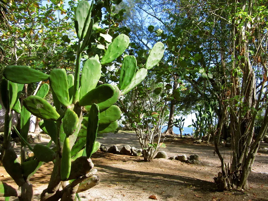 Tingalaya'S Retreat Hotel Negril