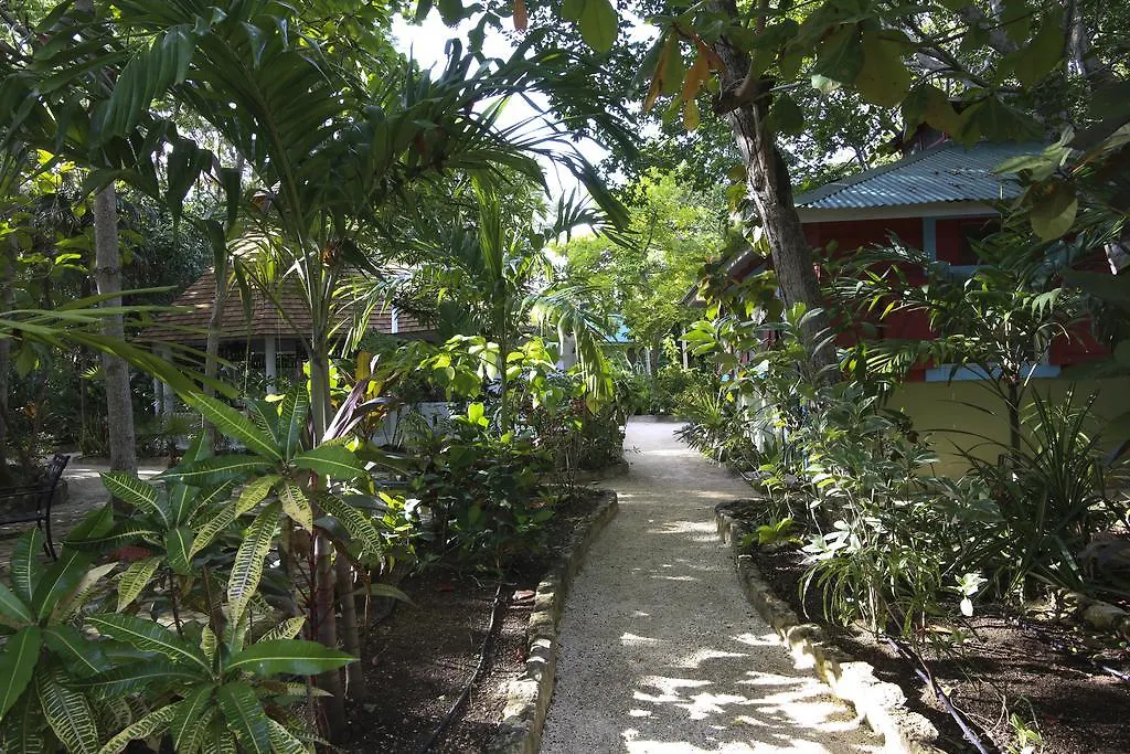 Guest house Tingalaya'S Retreat Hotel Negril