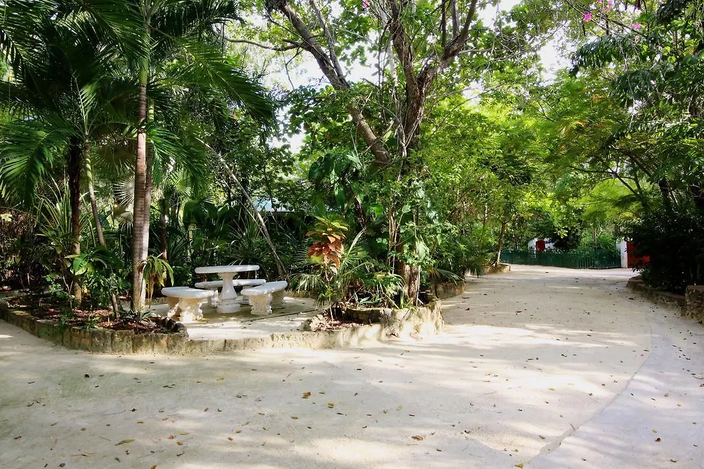 Tingalaya'S Retreat Hotel Negril Guest house