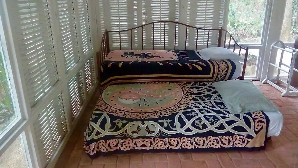 Tingalaya'S Retreat Hotel Negril Guest house