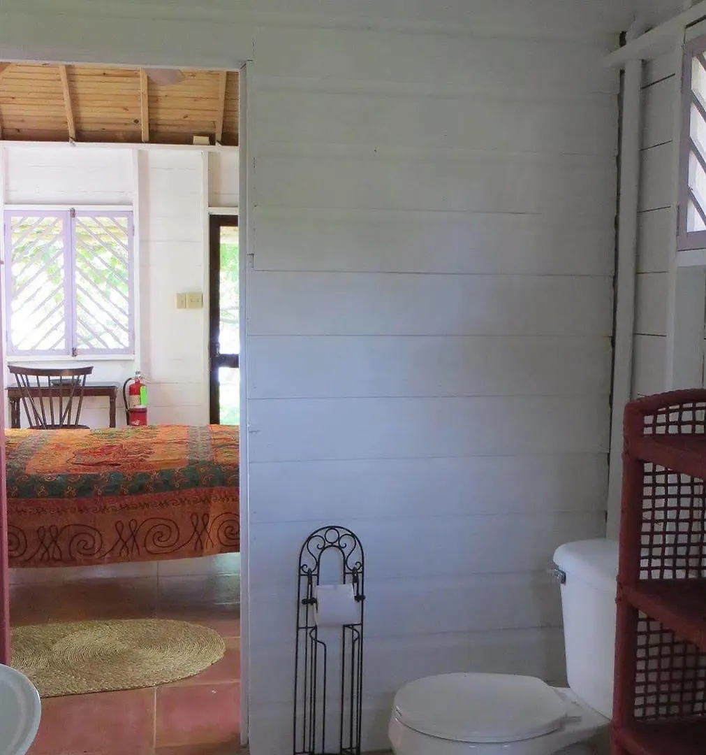Tingalaya'S Retreat Hotel Negril 3*,