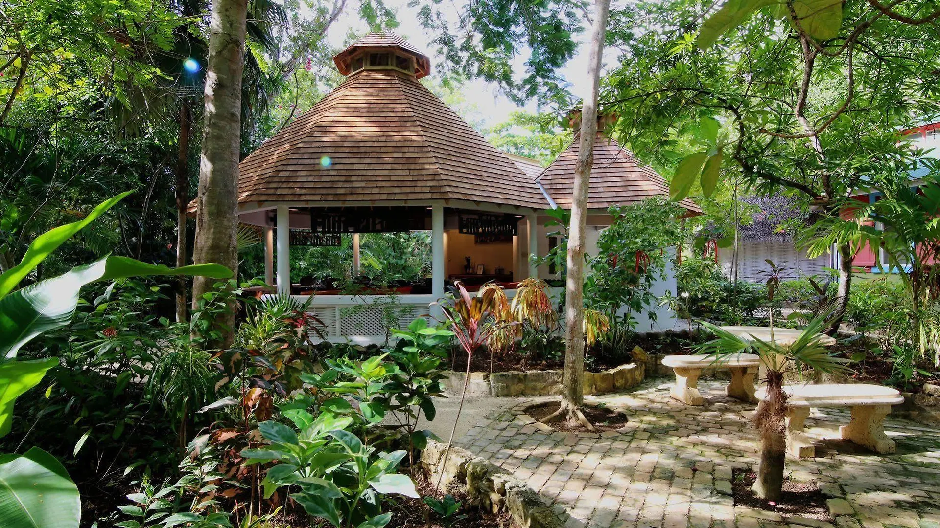 Tingalaya'S Retreat Hotel Negril Guest house