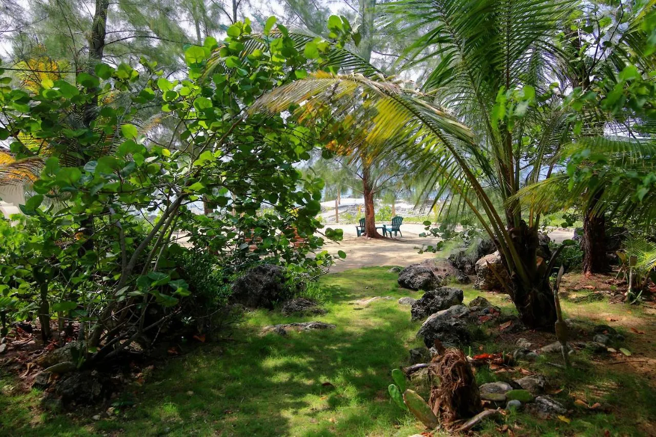 Tingalaya'S Retreat Hotel Negril