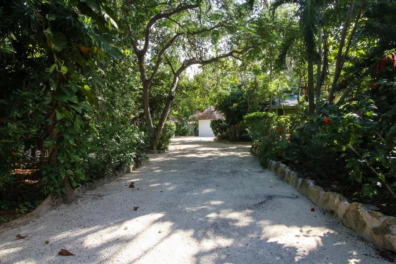 Guest house Tingalaya'S Retreat Hotel Negril