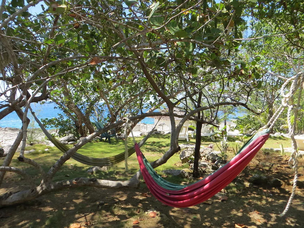 Tingalaya'S Retreat Hotel Negril Guest house