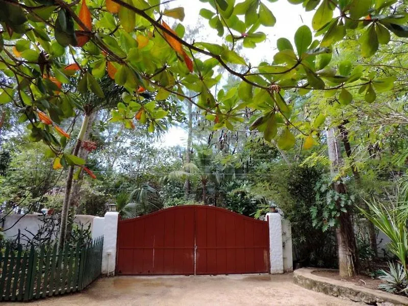 Tingalaya'S Retreat Hotel Negril Guest house