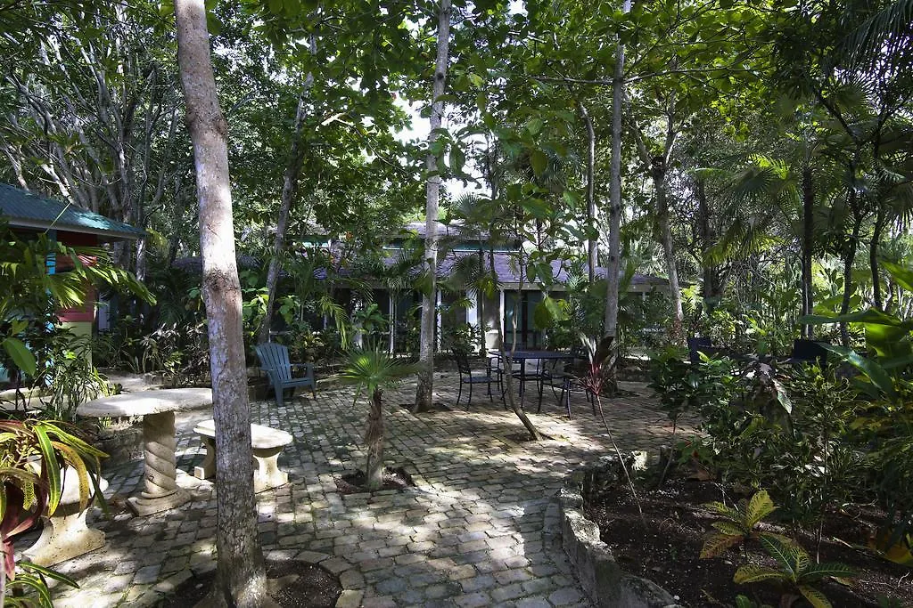 Tingalaya'S Retreat Hotel Negril Jamaica